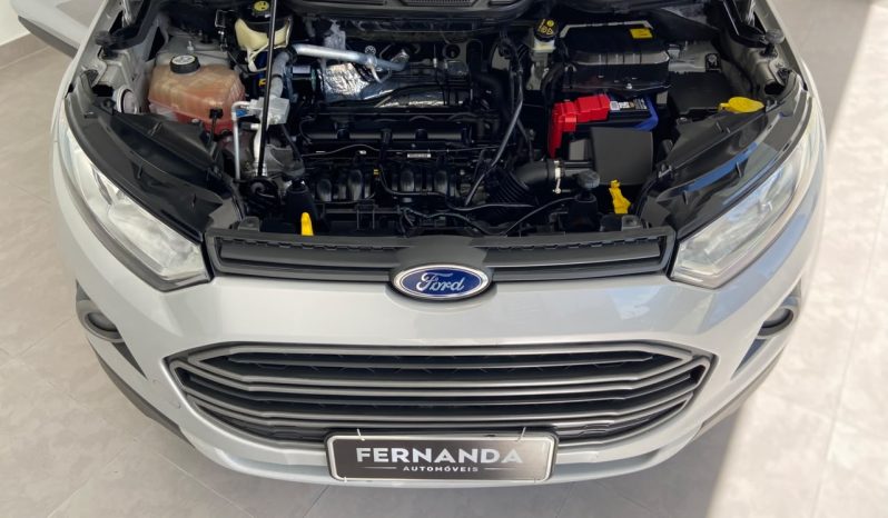 Ecosport Freestyle Plus 1.6 16V (Flex) 2013 full